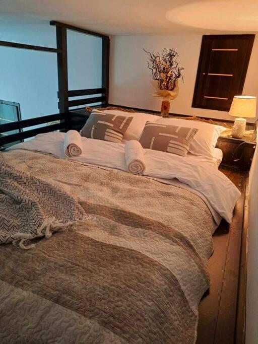 Sofia'S Home Comfy Studio In The Old Town 布拉索夫 外观 照片