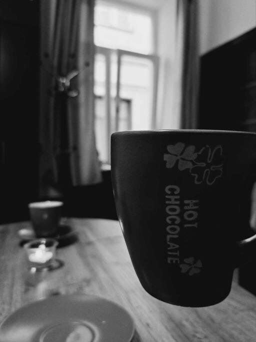 Sofia'S Home Comfy Studio In The Old Town 布拉索夫 外观 照片